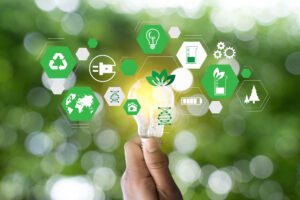 Eco-Friendly Business Opportunities that are Increasingly Popular